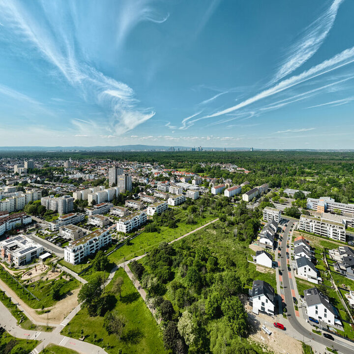 Skyline Neu-Isenburg mit Birkengewann