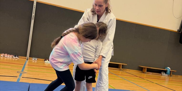 Aikido Training