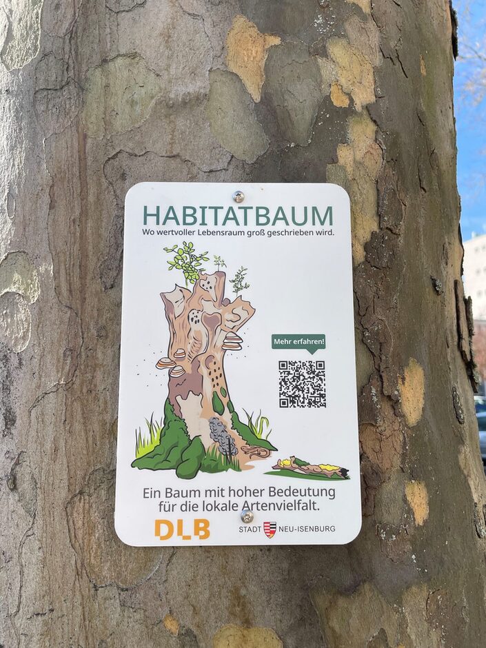 Schild mit QR Code rund um den Habitatbaum