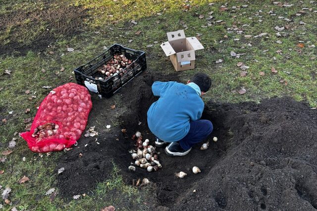 Kinder der Grundschule beim der Pflanzaktion