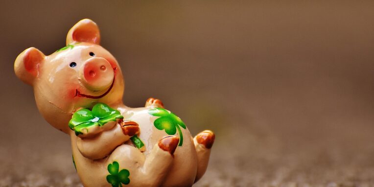 Glücksschweinchen, Figur, Natur