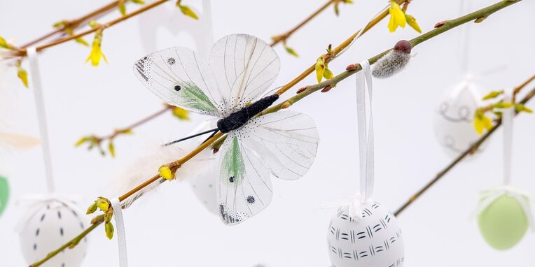 gelbe Forsythienzweige mit weißer Osterdeko