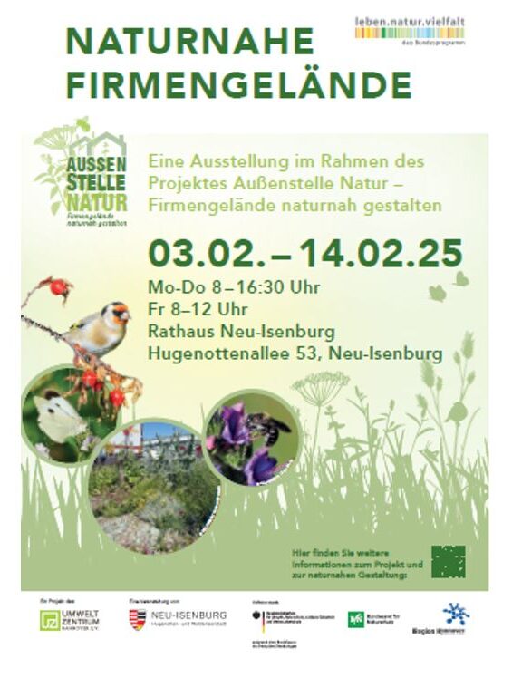 Flyer Ausstellung