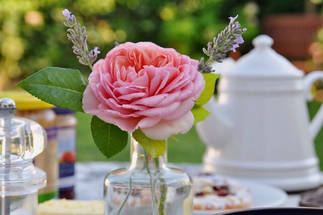 Gedeckter Frühstückstisch mit einer Rose im Vordergrund