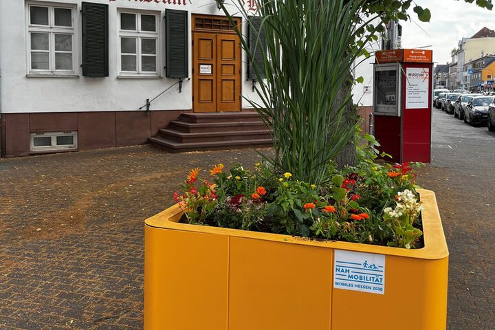 Blumenkübel vor dem Haus zum Löwen