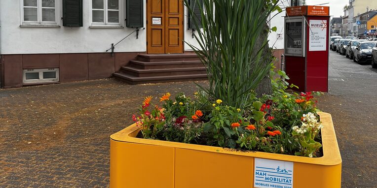 Blumenkübel vor dem Haus zum Löwen