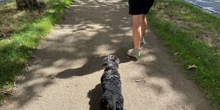 Hund und Frau bei Spaziergang im Park