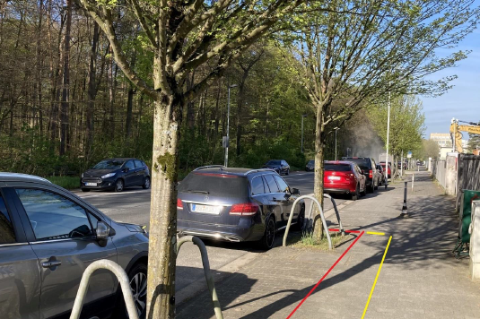 Bäume in der Rathenausstraße