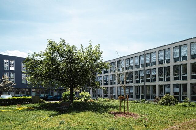 Wiese vor dem Rathaus Neu-Isenburg