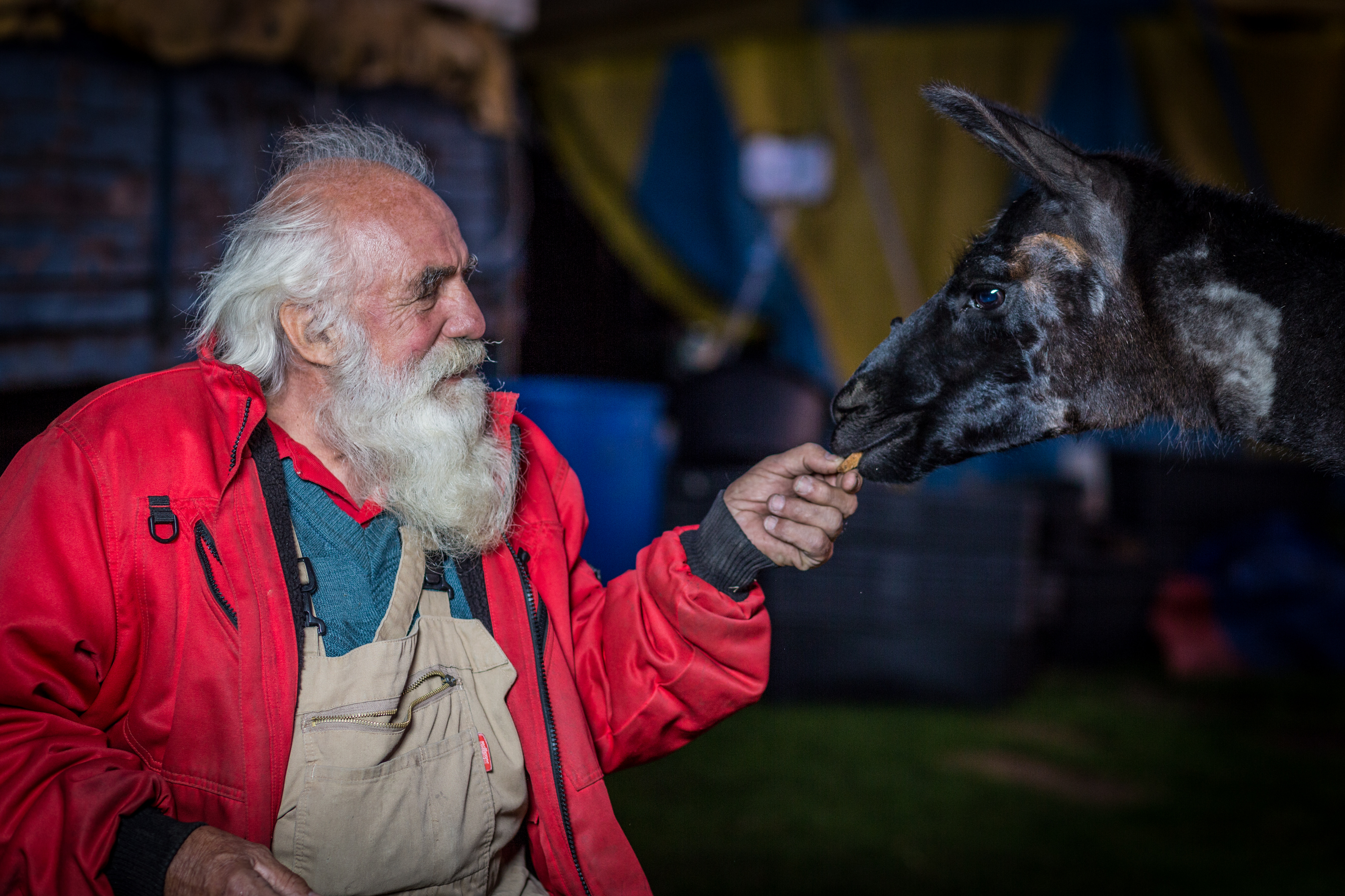Bodhi Elliot Gründervater des Kinder- und Jugendzirkus Wannabe