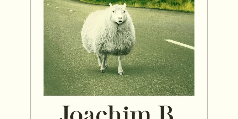 Buchcover Kalmann schweigt