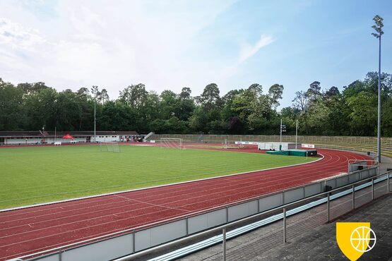 Foto vom Sportpark in der Alicestraße